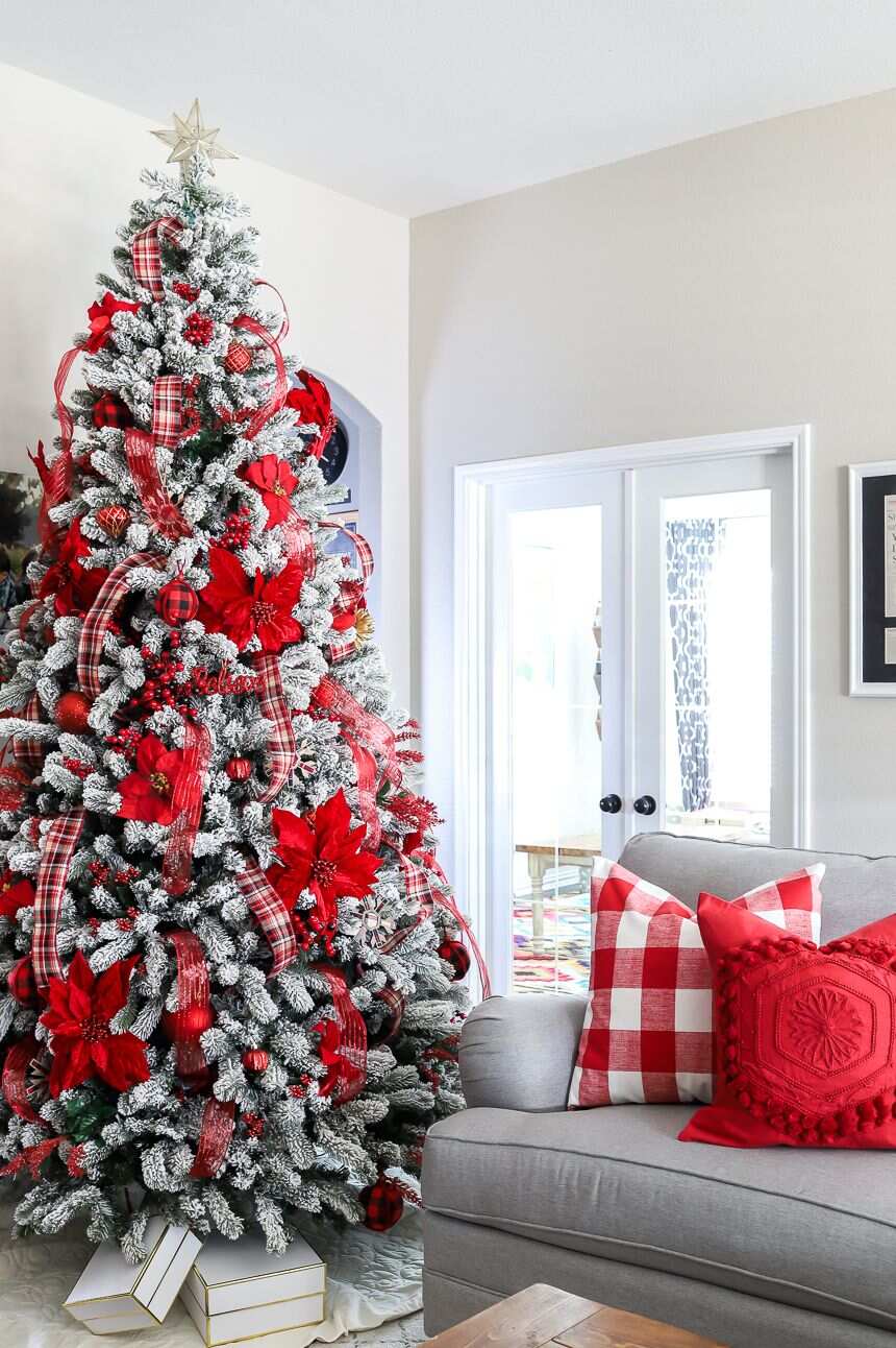 Red and White 