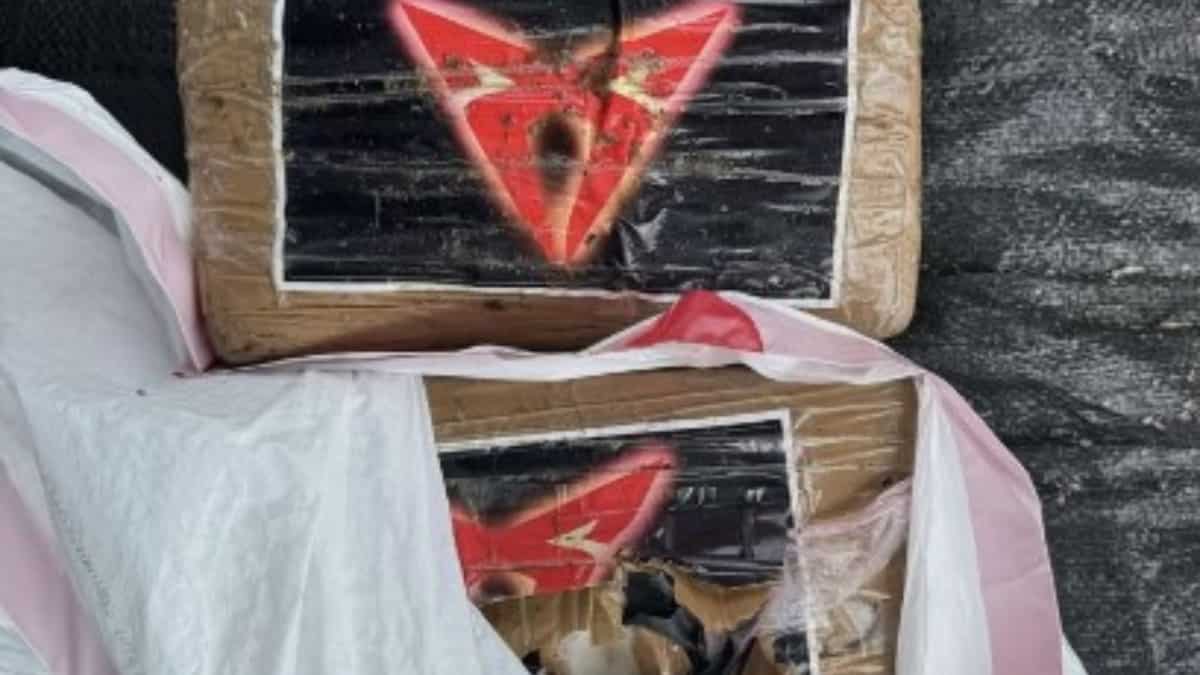 Cocaine in Florida