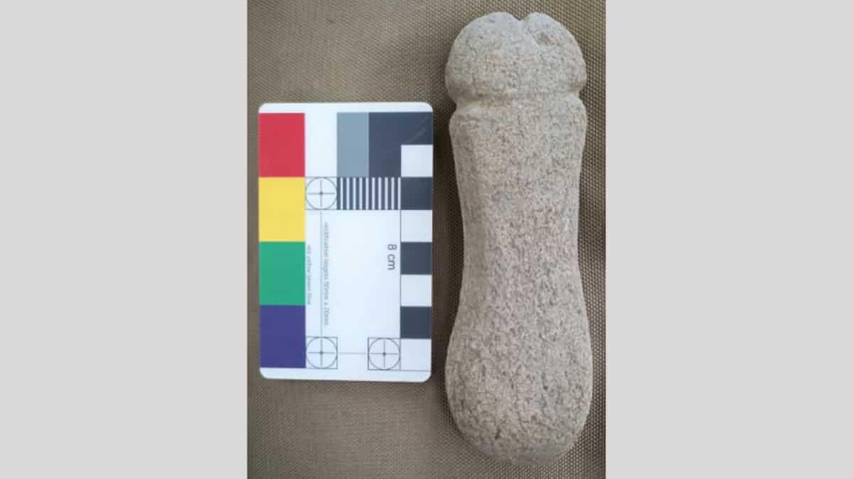 Penis stone