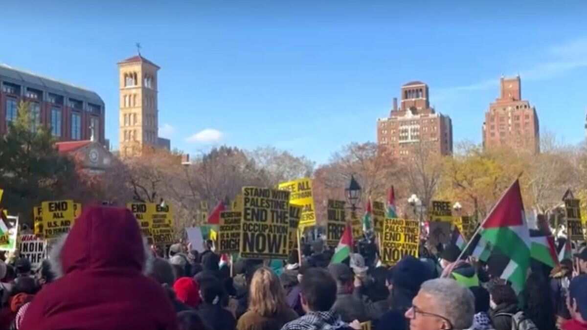 Pro-Palestinian protesters