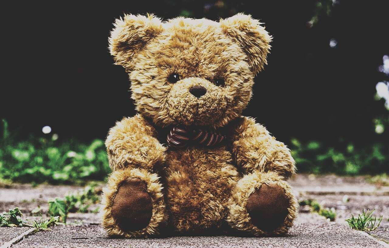 Happy Teddy day