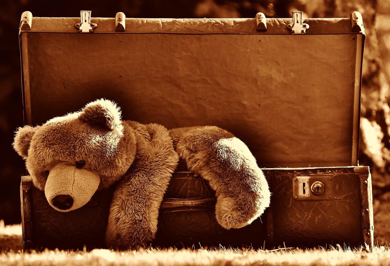 Happy Teddy day