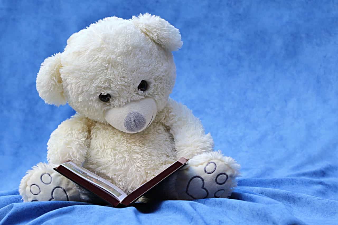 Happy Teddy day
