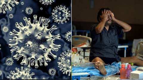 What Is Black Fungus Or Mucormycosis Symptoms And Treatment India News News Wionews Com