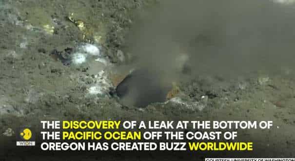 leak in ocean News - Latest leak in ocean News, Breaking leak in ocean News, leak in ocean News