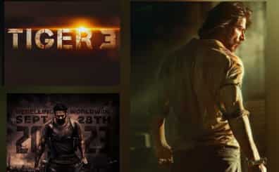 The most anticipated films that we are all excited to watch in 2023 - 'Tiger 3', 'Pathaan' and more!