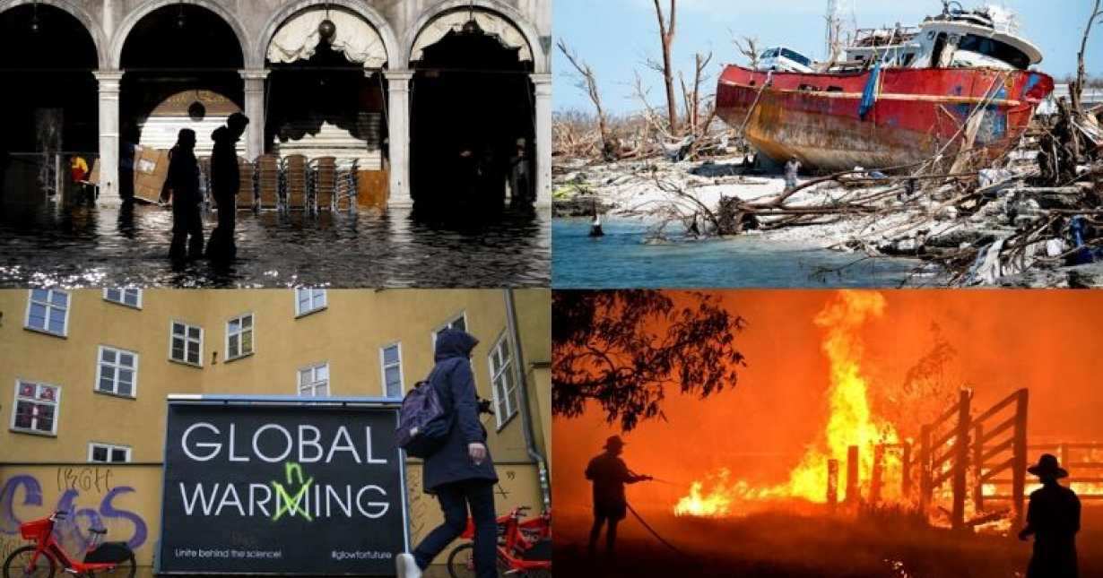From Amazon fires to Venice floods: Climate change triggers a series of calamities worldwide - WION