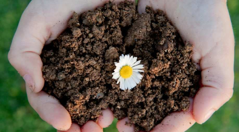 Earth Day 2021: History, significance and all you need to ...