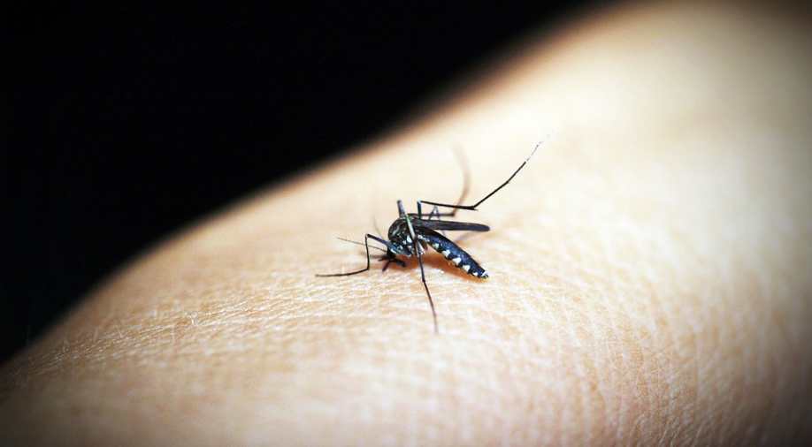 African scientist develops ‘gene drive tech’ that could wipe out Malaria from continent