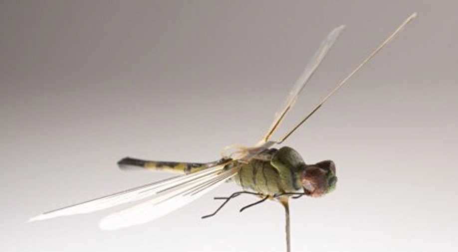 Study reveals how venom contributed to formation of new species of