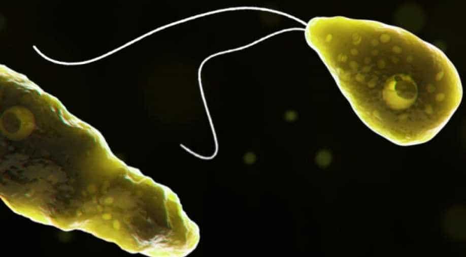 Rare case of braindestroying amoeba confirmed in Florida, Science News