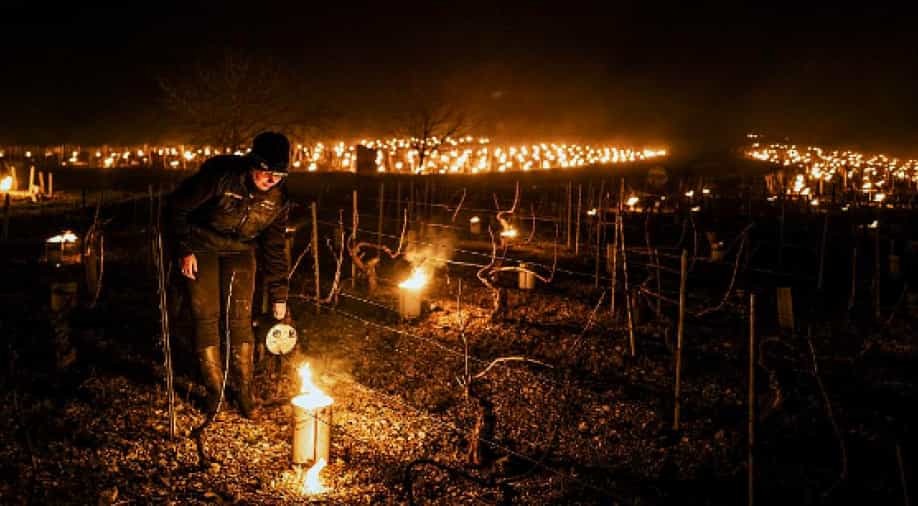 France Giant candles light up French vineyards World News