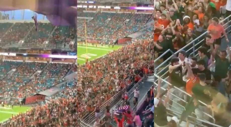 Watch Spectators save cat falling from upper deck at US stadium