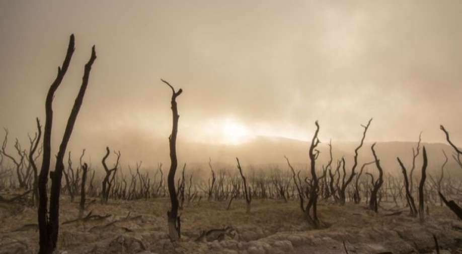 Poor nations to spend five times as much on debt as they do against climate change: Report - Vimarsana News