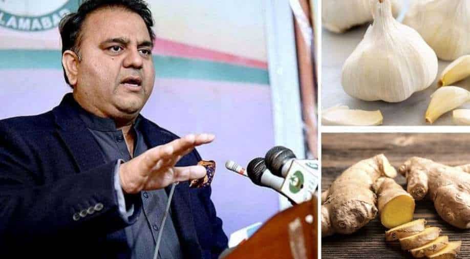 Watch: Pakistan's minister confuses ginger with garlic and Twitter can't keep calm - Vimarsana News