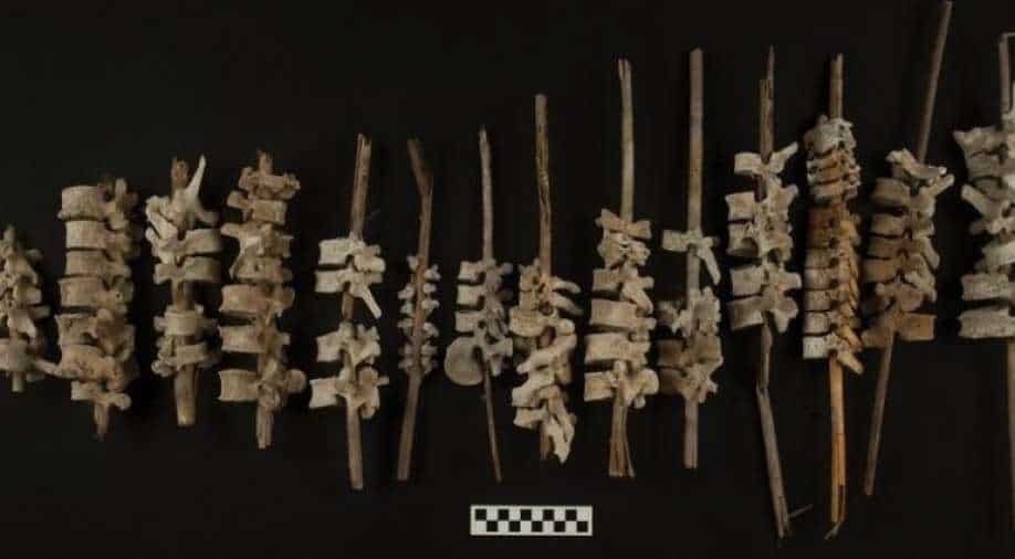 Nearly 200 human spines found on sticks in 500-year-old graves in Peru - Vimarsana News