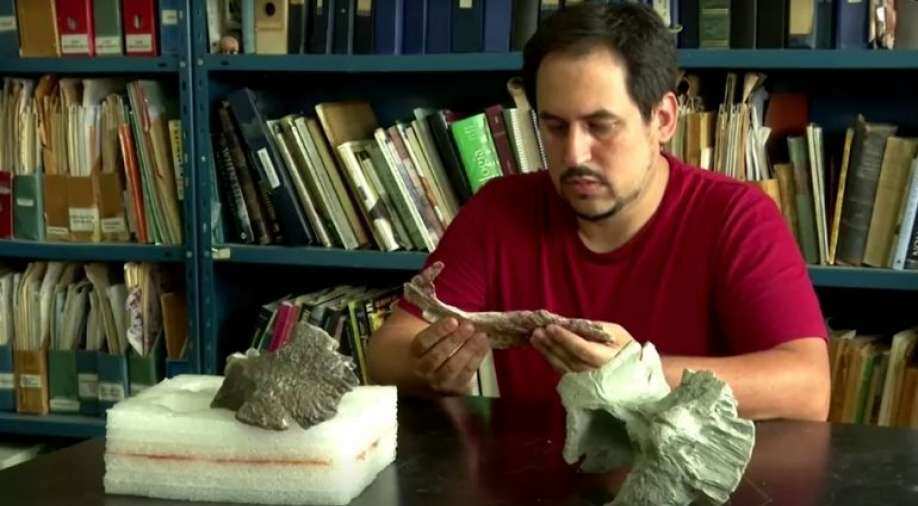 New species of carnivorous dinosaur with short arms discovered in Argentina, say scientists - Vimarsana News