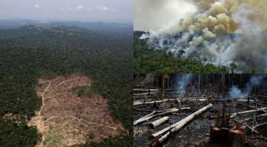 Alarming! Deforestation in Brazil's Amazon hits new records, kicks off climate concerns - Vimarsana News