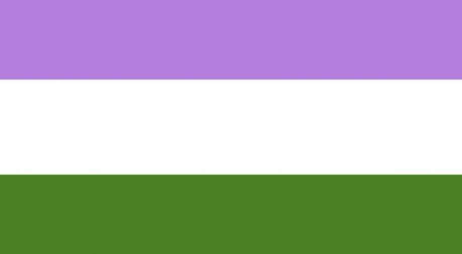 In Pics Pridemonth The Many Flags And Colours Of The Lgbtqia Movement World News