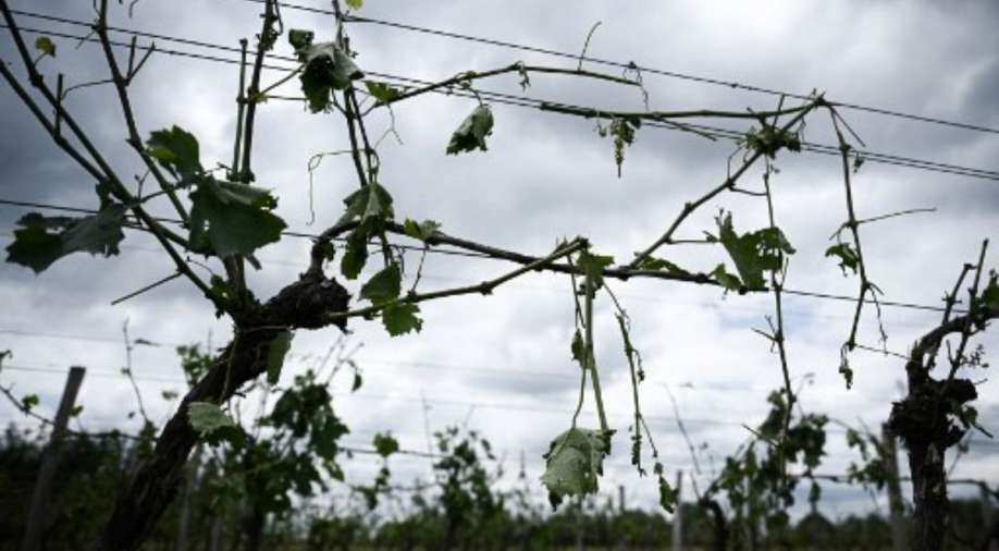 Storms wreak havoc across France, electricity cut off for nearly 5,000