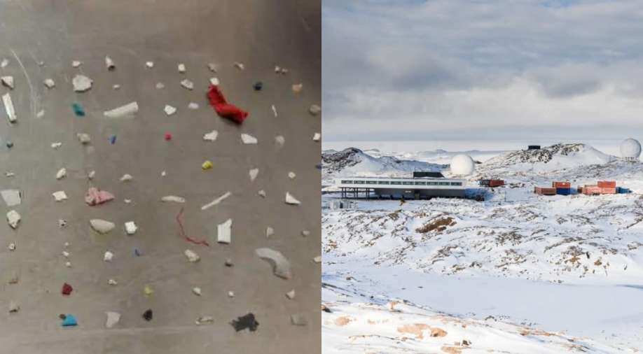 Is it a warning? Microplastics breach another frontier, now found in