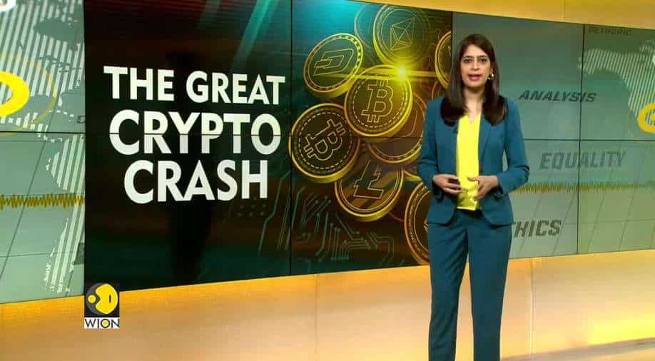 Why is the crypto market crashing? Business & Economy News
