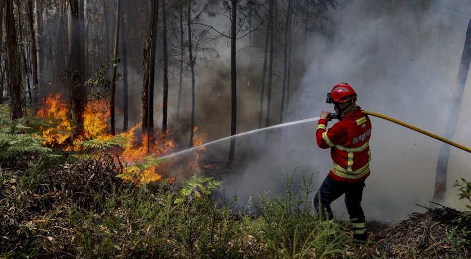 Heatwave in Europe Live Updates: Hottest Temperature in the World