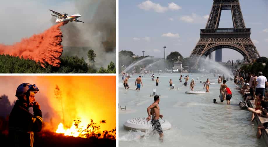 As it happened: Heatwave 2022 — 'Monster wildfire' in France, drought in England, China's Yangtze river shrinks