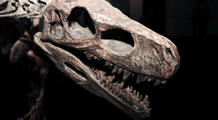Paleontologists discover remains of Europe's largest dinosaur in a garden in Portugal - Vimarsana News