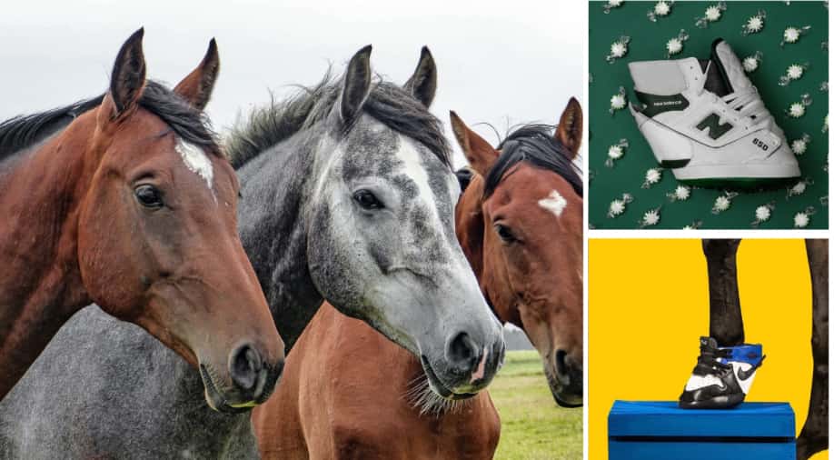 These sneakers are for your horses Spend 1,200 for your fashionista