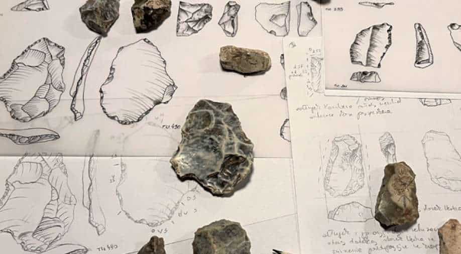 Oldest-ever? Flint tools found in Poland cave could be 500,000 years ...