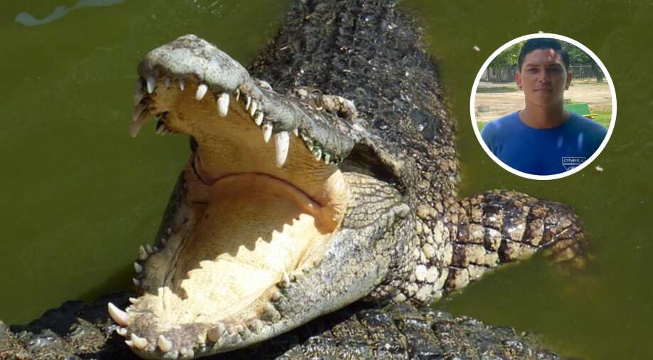 Crocodile fatally attacks soccer player in Costa Rican river, swims