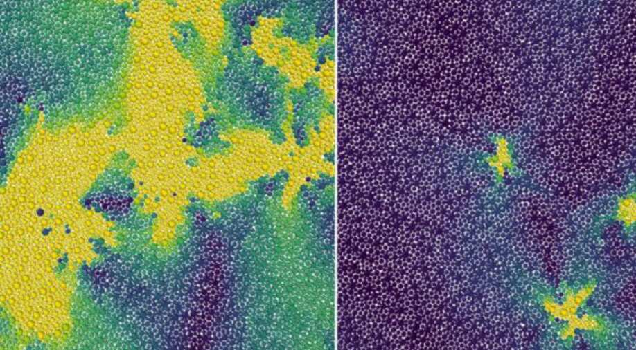 Scientists may have found a new hidden state of matter between liquid ...