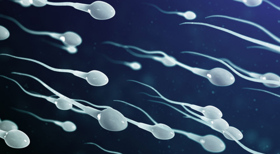 Sperm caught breaking Newton's third law of motion, know how