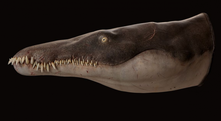 This mega sea predator lived 170 million years ago and gobbled up everything in sight, says study