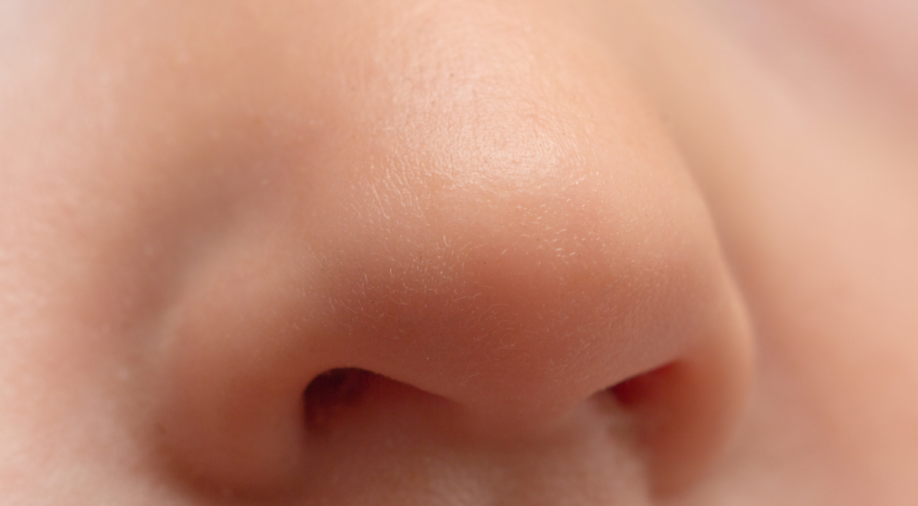 Scientists discover why humans have two nostrils and not just one