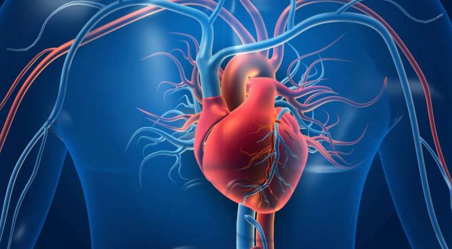 Kinder, flexible workplaces lead to better heart health among older employees: Study