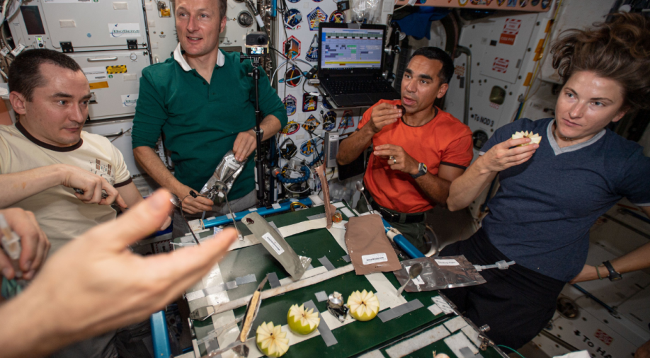 Quail, turkey, seafood & more: 50th Thanksgiving on space station was a grand affair