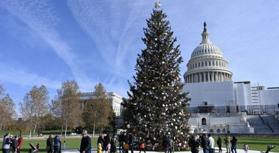 Strong winds knock over US' National Christmas Tree outside White House