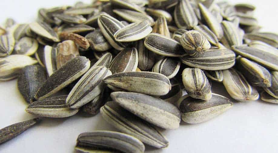 5 Seeds to Boost Your Digestive Health Lifestyle News